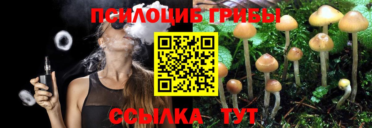 Саки  Галлюциногенные грибы Psilocybe  Галлюциногенные грибы мицелий  Вход с VPN 